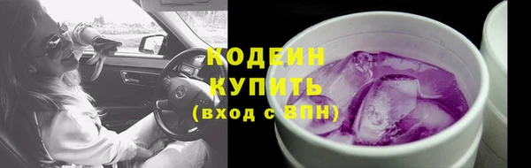 ECSTASY Няндома
