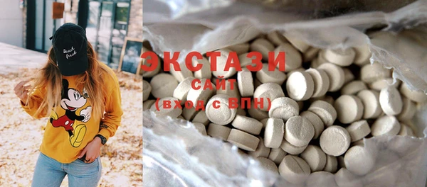 ECSTASY Няндома