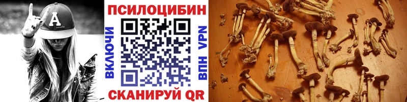 Псилоцибиновые грибы мицелий  Усть-Катав 